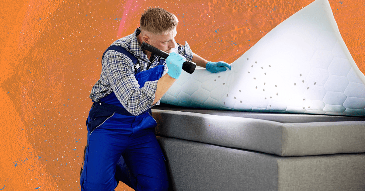 A man in blue overalls lifting up a mattress and shining a flashlight on bedbugs.