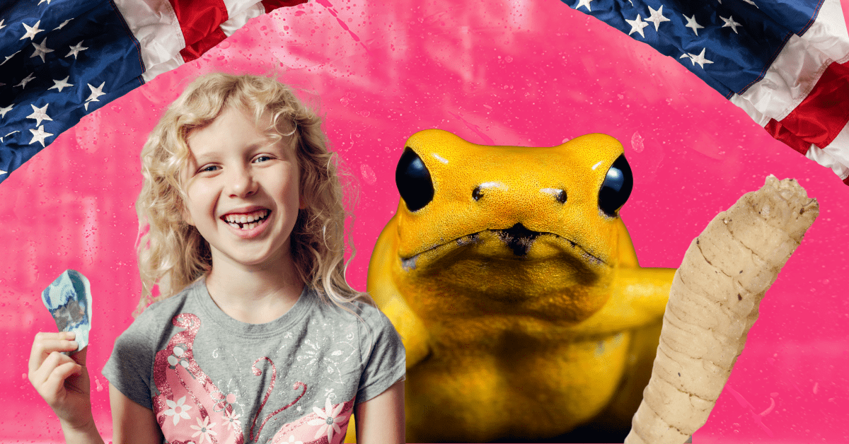 A collage of images — a young girl with curly hair and a missing top tooth holding up cash, a yellow frog, and a maggot — with an American flag border.